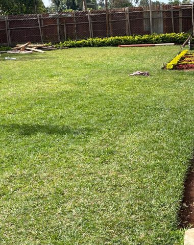 WhatsApp Image 2026-03-26 at 7.09.59 PM (1)